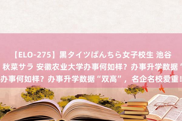 【ELO-275】黒タイツぱんちら女子校生 池谷ひかる さくら 宮下まい 秋菜サラ 安徽农业大学办事何如样？办事升学数据“双高”，名企名校爱重！