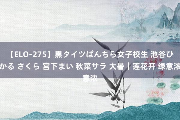 【ELO-275】黒タイツぱんちら女子校生 池谷ひかる さくら 宮下まい 秋菜サラ 大暑｜莲花开 绿意浓