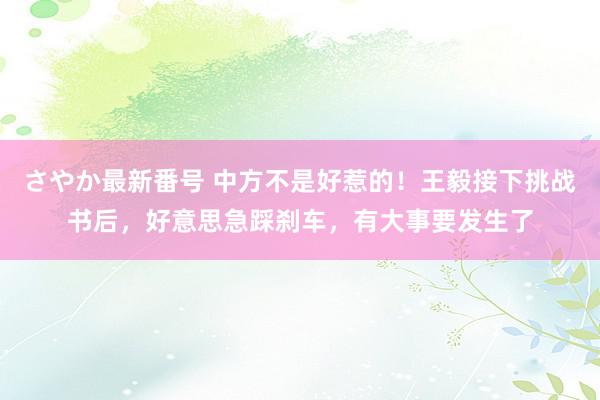 さやか最新番号 中方不是好惹的！王毅接下挑战书后，好意思急踩刹车，有大事要发生了