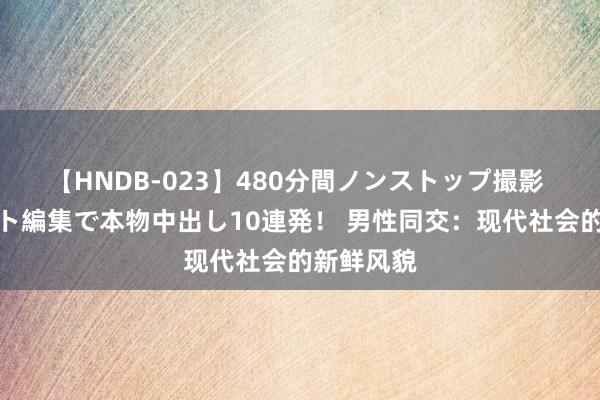 【HNDB-023】480分間ノンストップ撮影 ノーカット編集で本物中出し10連発！ 男性同交：现代社会的新鲜风貌