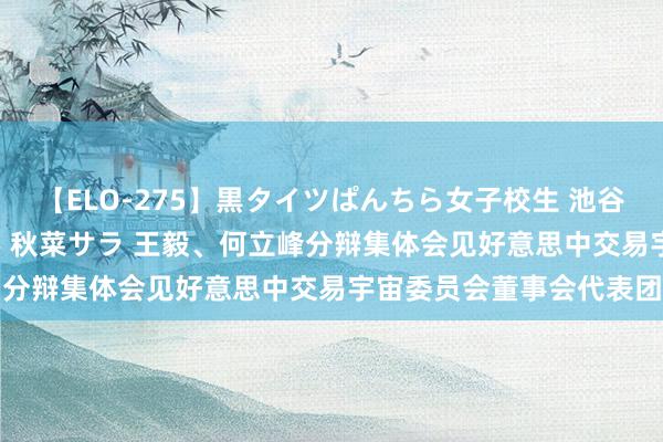 【ELO-275】黒タイツぱんちら女子校生 池谷ひかる さくら 宮下まい 秋菜サラ 王毅、何立峰分辩集体会见好意思中交易宇宙委员会董事会代表团