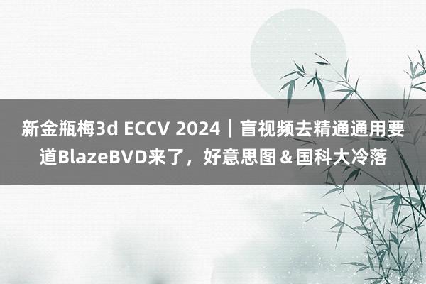 新金瓶梅3d ECCV 2024｜盲视频去精通通用要道BlazeBVD来了，好意思图＆国科大冷落