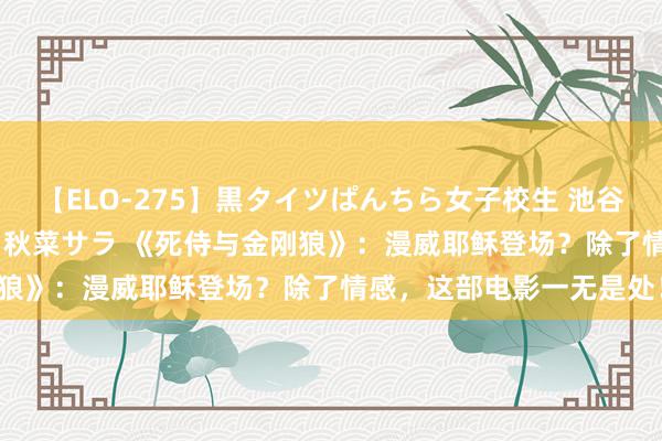 【ELO-275】黒タイツぱんちら女子校生 池谷ひかる さくら 宮下まい 秋菜サラ 《死侍与金刚狼》：漫威耶稣登场？除了情感，这部电影一无是处！