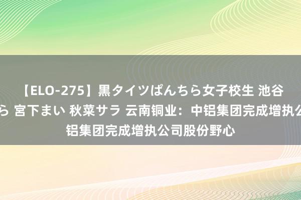 【ELO-275】黒タイツぱんちら女子校生 池谷ひかる さくら 宮下まい 秋菜サラ 云南铜业：中铝集团完成增执公司股份野心