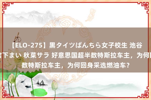 【ELO-275】黒タイツぱんちら女子校生 池谷ひかる さくら 宮下まい 秋菜サラ 好意思国超半数特斯拉车主，为何回身采选燃油车？