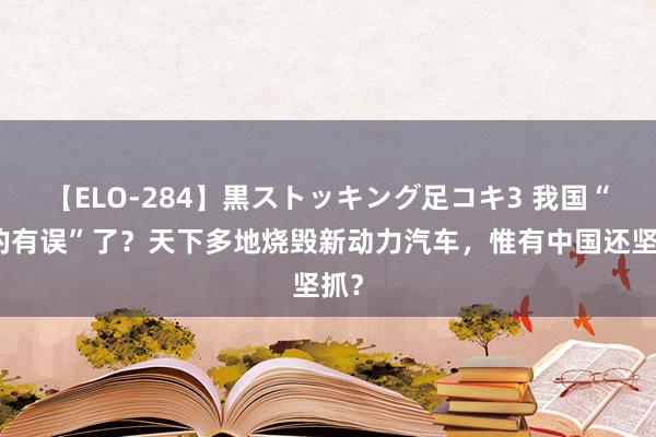 【ELO-284】黒ストッキング足コキ3 我国“标的有误”了？天下多地烧毁新动力汽车，惟有中国还坚抓？