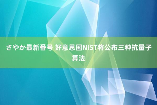 さやか最新番号 好意思国NIST将公布三种抗量子算法