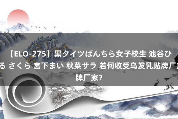 【ELO-275】黒タイツぱんちら女子校生 池谷ひかる さくら 宮下まい 秋菜サラ 若何收受乌发乳贴牌厂家？