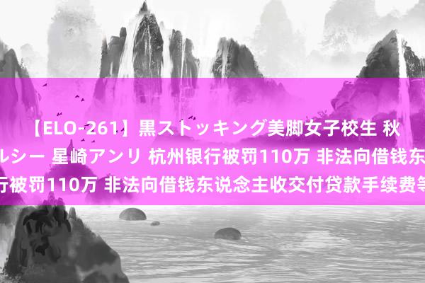 【ELO-261】黒ストッキング美脚女子校生 秋本レオナ さくら チェルシー 星崎アンリ 杭州银行被罚110万 非法向借钱东说念主收交付贷款手续费等