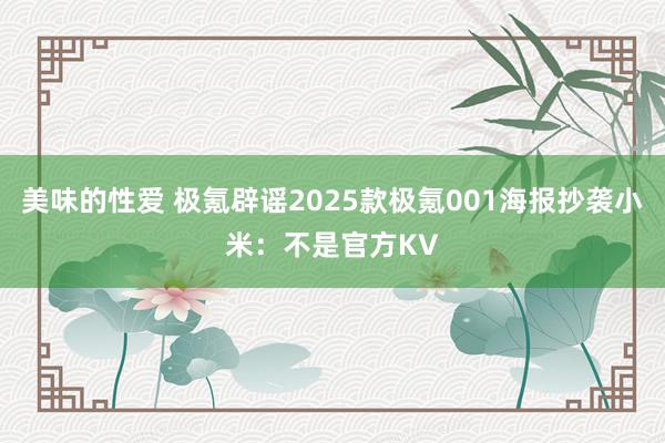 美味的性爱 极氪辟谣2025款极氪001海报抄袭小米：不是官方KV