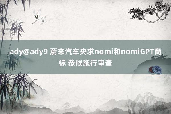 ady@ady9 蔚来汽车央求nomi和nomiGPT商标 恭候施行审查