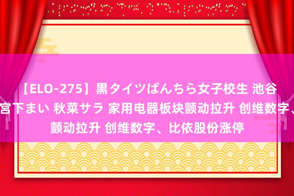 【ELO-275】黒タイツぱんちら女子校生 池谷ひかる さくら 宮下まい 秋菜サラ 家用电器板块颤动拉升 创维数字、比依股份涨停