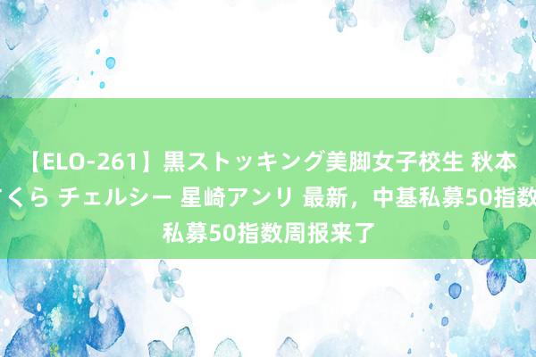 【ELO-261】黒ストッキング美脚女子校生 秋本レオナ さくら チェルシー 星崎アンリ 最新，中基私募50指数周报来了