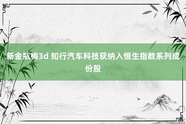 新金瓶梅3d 知行汽车科技获纳入恒生指数系列成份股