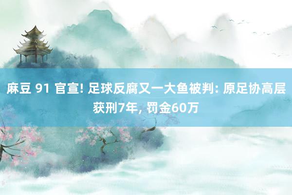 麻豆 91 官宣! 足球反腐又一大鱼被判: 原足协高层获刑7年, 罚金60万