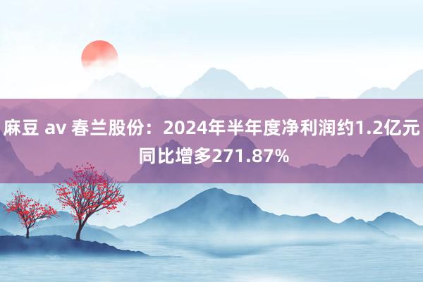 麻豆 av 春兰股份：2024年半年度净利润约1.2亿元 同比增多271.87%