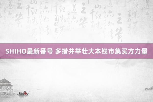 SHIHO最新番号 多措并举壮大本钱市集买方力量